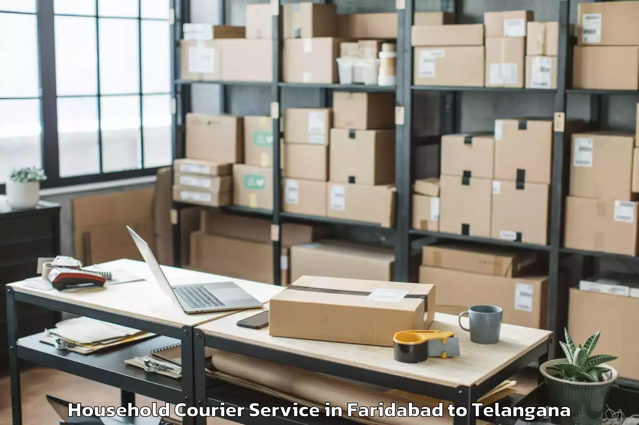 Efficient Faridabad to Nadigudem Household Courier